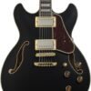 61EbrDNtIL._AC_SL1500_ Ibanez AS73G Semi-hollowbody Electric Guitar Review Perfect for Versatile Playing Styles