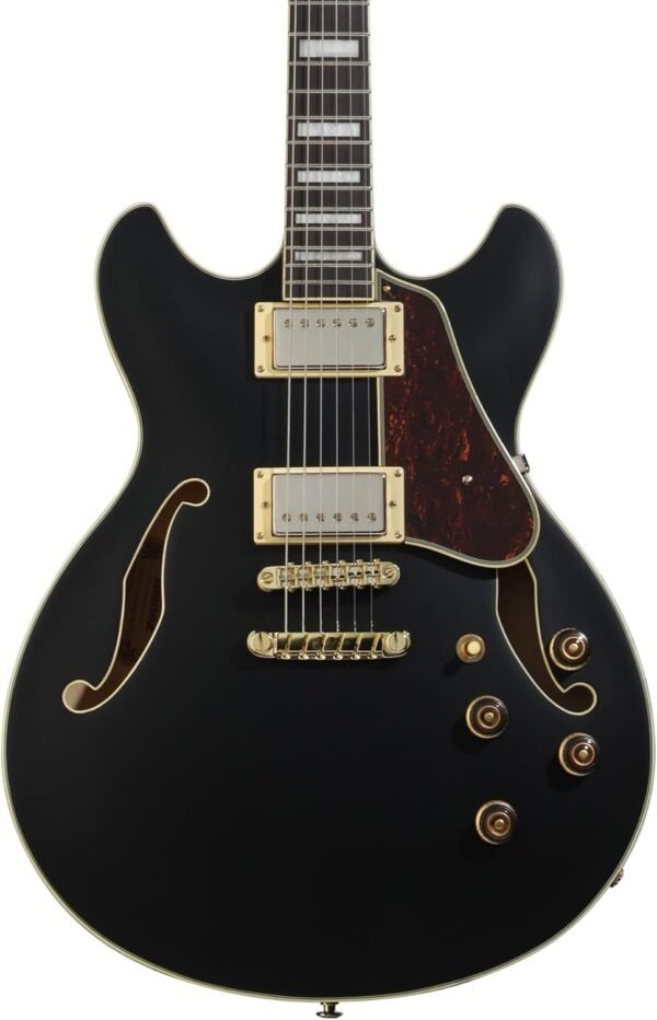 61EbrDNtIL._AC_SL1500_ Ibanez AS73G Semi-hollowbody Electric Guitar Review Perfect for Versatile Playing Styles
