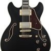 61EbrDNtIL._AC_SY300_SX300_ Ibanez AS73G Semi-hollowbody Electric Guitar Review Perfect for Versatile Playing Styles