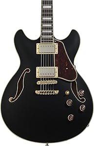 61EbrDNtIL._AC_SY300_SX300_ Ibanez AS73G Semi-hollowbody Electric Guitar Review Perfect for Versatile Playing Styles