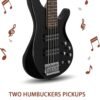 61anVJmi10L._AC_SL1500_ Ktaxon 5 String Electric Bass Guitar Review Full Size Kit for Beginners