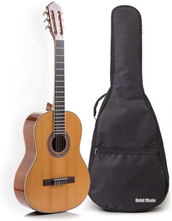 718x8DsHXUL._AC_SL1500_ Review of Hola! Music HG-39GLS Classical Guitar Full Size with Free Gig Bag