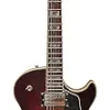 71Iv1VhqdbL.__AC_SX300_SY300_QL70_FMwebp_ Review of IYV IJZ-300 TSB Jazz Electric Guitar for Hollow-Body Enthusiasts