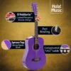 71Ugm3B0zUL._AC_SL1200_ Review of Hola! Music Acoustic Guitar Bundle HG-36PP for Beginners and Kids