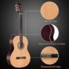 71cfGoymIfL._AC_SL1500_ Comprehensive review of the ADM classical acoustic guitar starter kit 39 inch