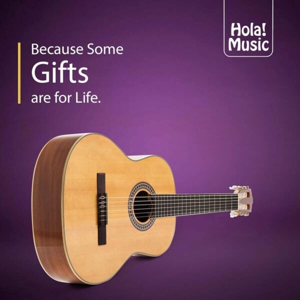 71yVmYpiQL._AC_SL1500_ Review of Hola! Music HG-39GLS Classical Guitar Full Size with Free Gig Bag
