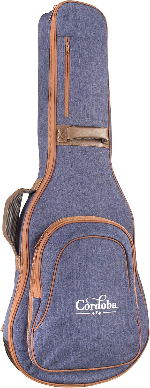 81EJw3rA3sL._AC_SL1500_ Cordoba Stage Electric Guitar review for Live Performances and Studio Recording